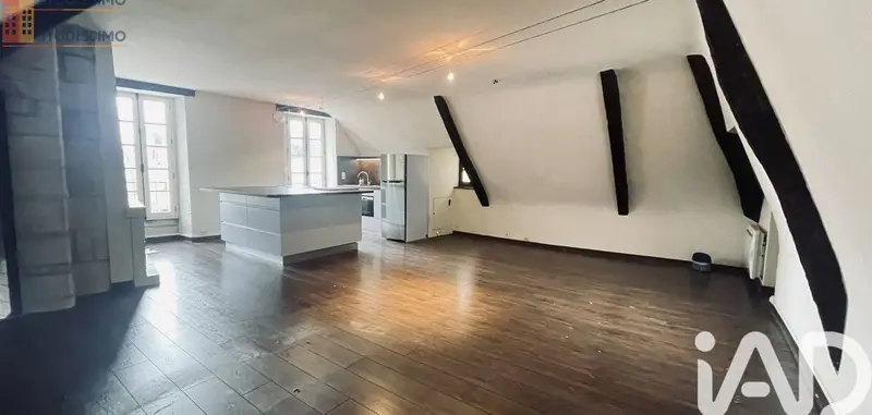 Studio 46m² Tours 37000 - Photo 8