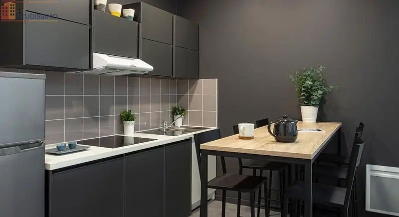 Studio meublé 19m² Écully - Meublé, bon DPE C - Photo 1