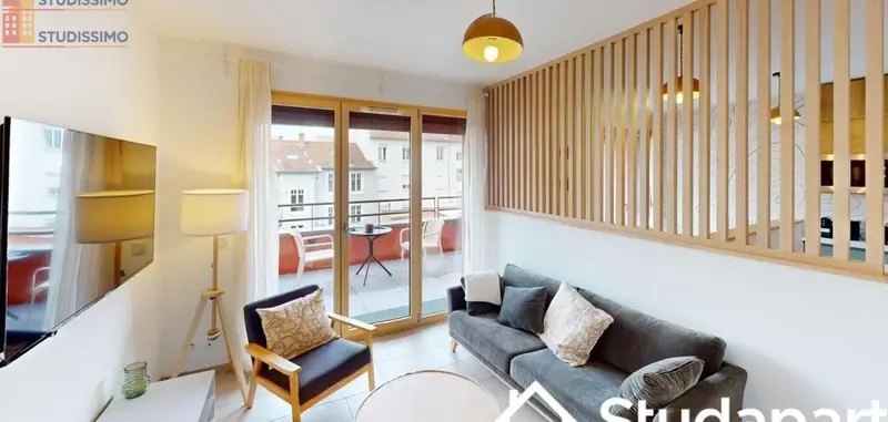Studio meublé 15m² Lyon 7e - Meublé, lumineux - Photo 4