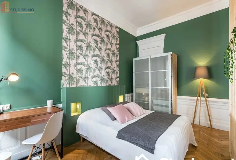 Studio meublé 38m² Lyon 2e - Lumineux, 3e étage - Photo 4