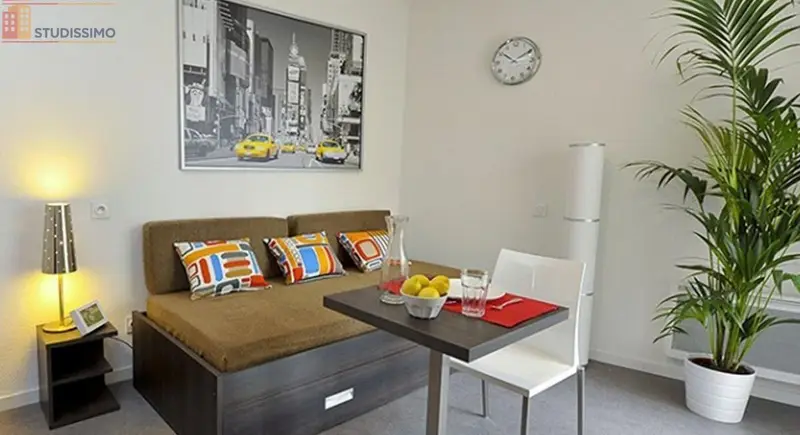 Studio meublé 19m² Villeurbanne - Meublé, DPE D - Photo 9