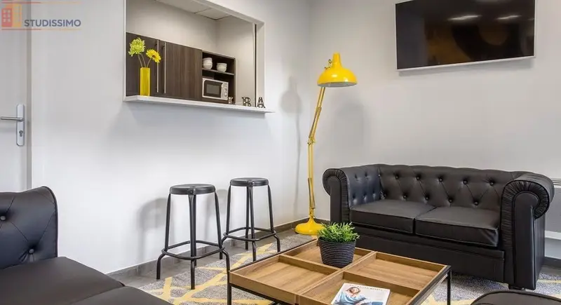 Studio meublé 19m² Villeurbanne - Meublé, DPE D - Photo 1