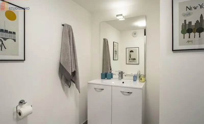 Studio 19m² Tours 37200 - DPE B - Photo 5