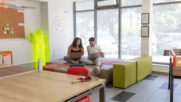 Studio meublé 19m² Bron - Lumineux, 4e étage - Photo 10