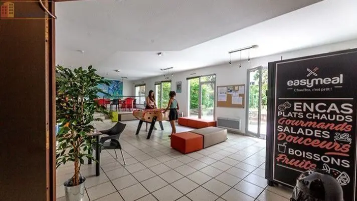 Studio meublé 30m² Lyon 7e - Étage élevé, lumineux - Photo 19