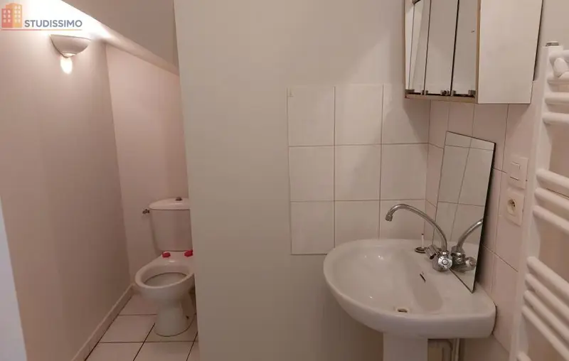 Studio 31m² Saint-Symphorien-sur-Coise - 1 pièce - Photo 3