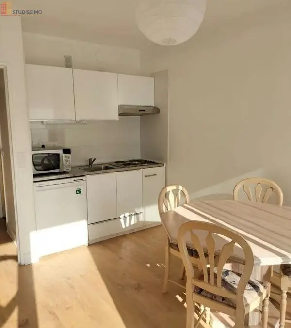 Studio 25m² Paris 19e - Lumineux, terrasse - Photo 3