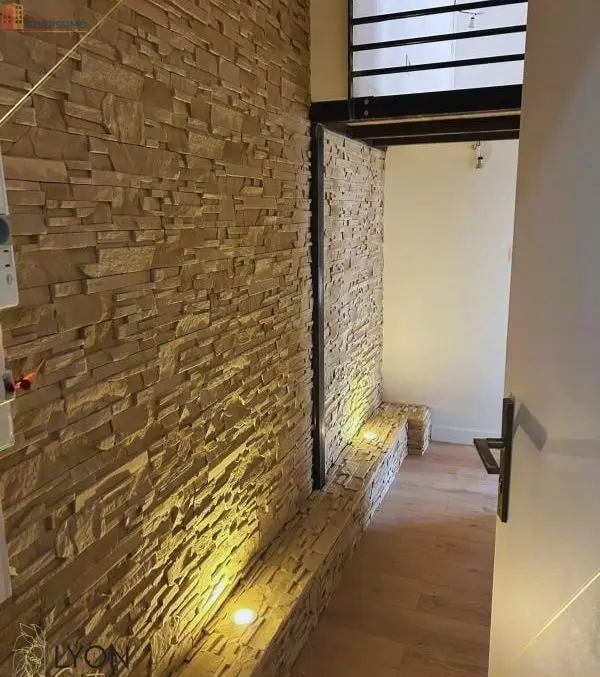 Studio meublé 48m² Lyon 4e - Lumineux, étage 3 - Photo 1