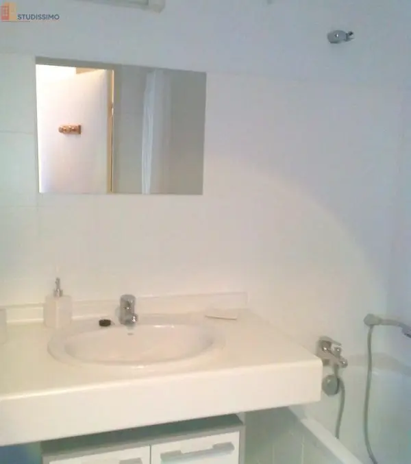 Studio meublé 29m² Villefranche-sur-Saône - Meublé, DPE C - Photo 1