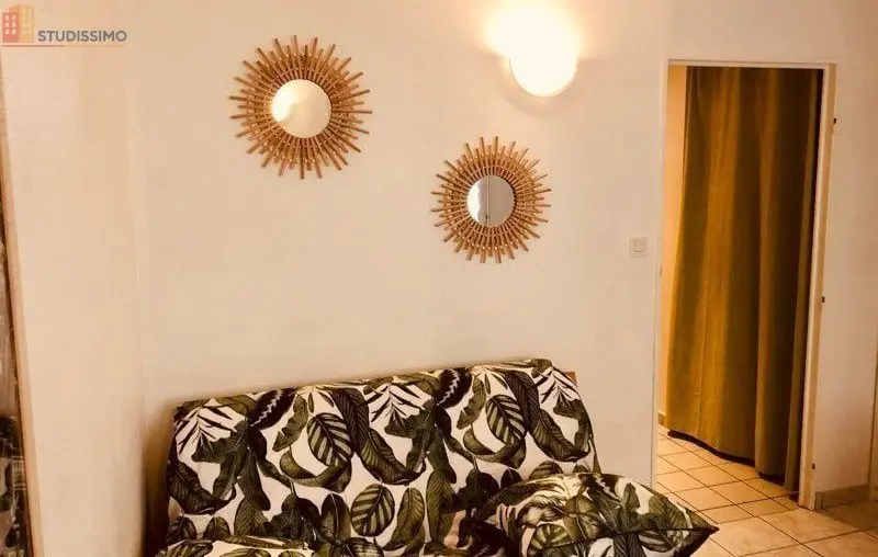 Studio 22m² Lyon 7 - Meublé, DPE C - Photo 2