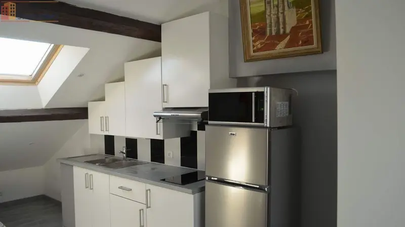 Studio 40m² Villeurbanne - Meublé, proche Part-Dieu - Photo 1