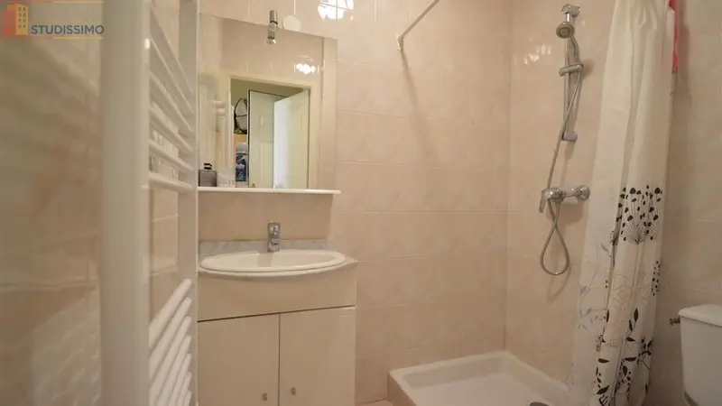 Studio 24m² Villeurbanne - Meublé, kitchenette séparée - Photo 1