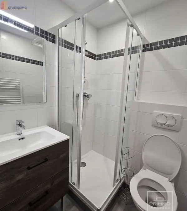 Studio meublé 19m² Villeurbanne - Meublé, DPE C - Photo 6