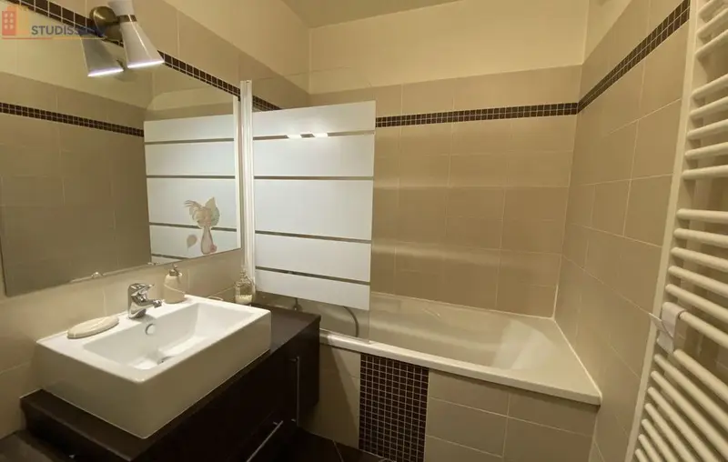 Studio 28m² Lyon 5e - Photo 4