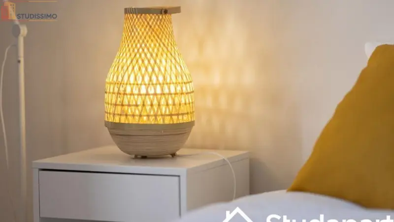 Studio meublé 11m² Lyon 6e - Lumineux, DPE A - Photo 3