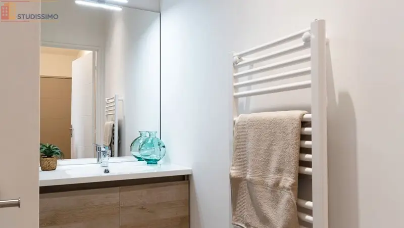 Studio meublé 21m² Lyon 8e - Meublé, au 1er étage - Photo 13