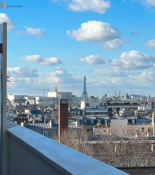 Studio 30m² Paris 11e - Terrasse, vue imprenable - Photo 4