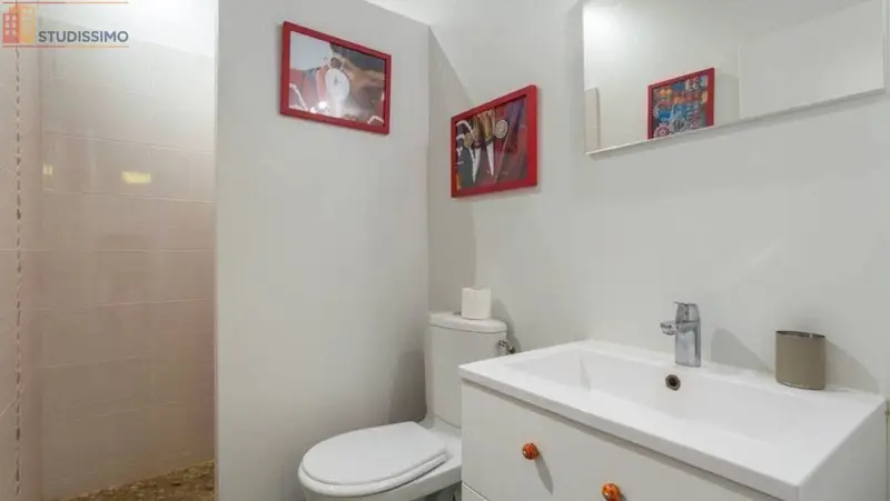 Studio meublé 45m² Lyon 5e - Disponible, meublé - Photo 1
