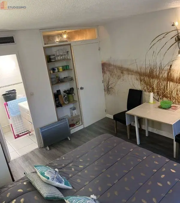 Studio meublé 22m² Dax centre-ville - Lumineux - Photo 10