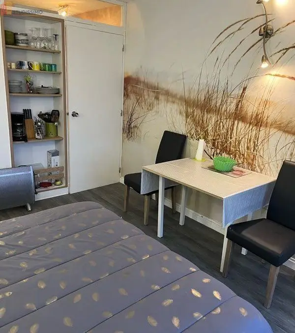 Studio meublé 22m² Dax centre-ville - Lumineux - Photo 8