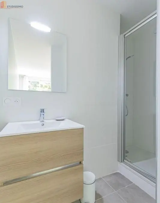 Studio 11m² Villeurbanne - Meublé, lumineux - Photo 3