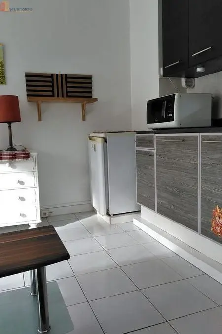 Studio meublé 26m² Paris 13e - Meublé, lumineux - Photo 5