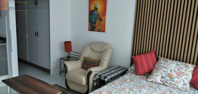 Studio meublé 26m² Paris 13e - Meublé, lumineux - Photo 3