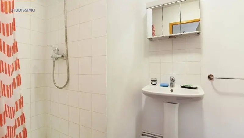 Studio meublé 19m² Bron - Meublé, 1 pièce - Photo 2
