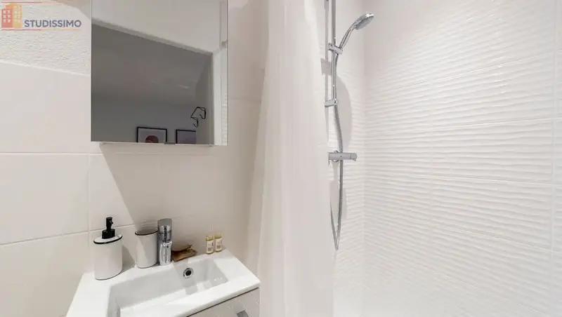 Studio meublé 35m² Francheville 69340 - Meublé, DPE C - Photo 3