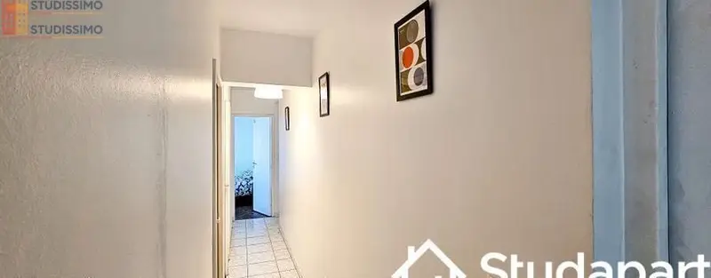 Studio 10m² Villeurbanne - Meublé, lumineux - Photo 4