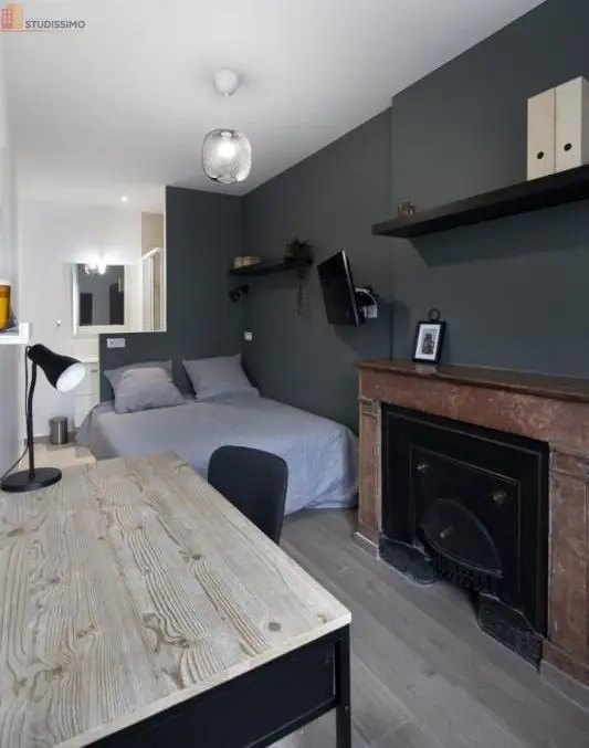 Studio meublé 9m² Villeurbanne - Meublé, DPE A - Photo 3