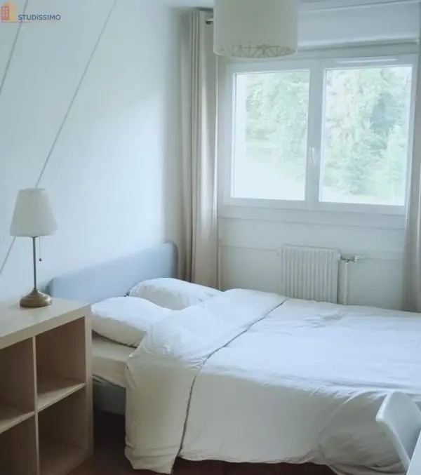 Studio meublé 81m² Lyon 5e - Grand, lumineux - Photo 3