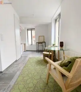 Studio meublé 27m² Villeurbanne - Meublé, 2e étage - Photo 4