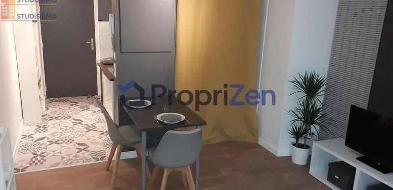 Studio 26m² Lyon 7e - Meublé, lumineux - Photo 11