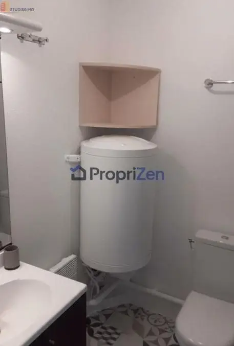 Studio 26m² Lyon 7e - Meublé, lumineux - Photo 6