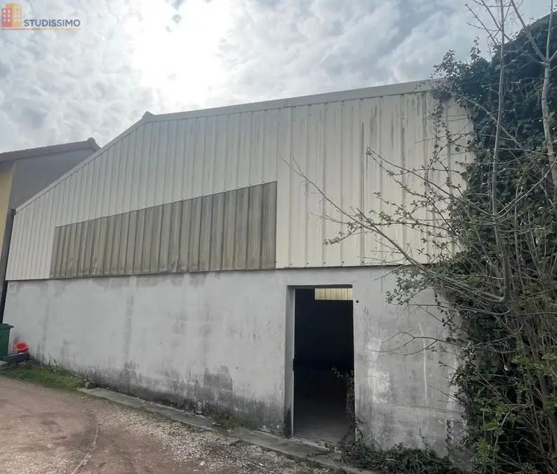 Studio 150m² Roanne - Grand volume, style loft - Photo 3