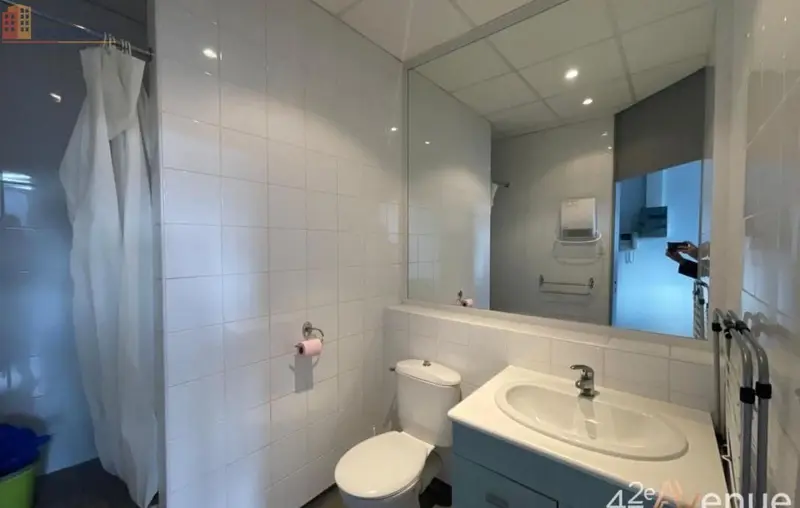 Studio 19m² Saint-Étienne 42000 - Lumineux, 2e étage - Photo 8