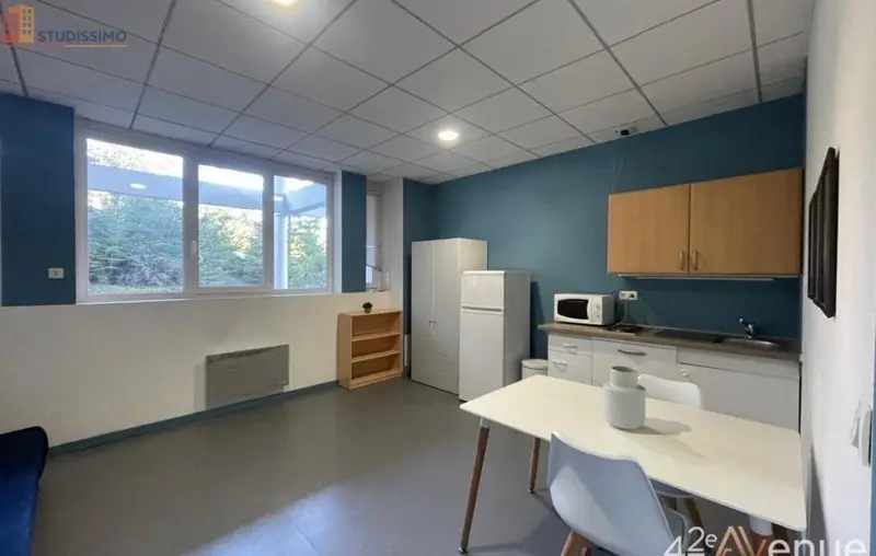 Studio 19m² Saint-Étienne 42000 - Lumineux, 2e étage - Photo 2