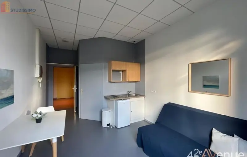 Studio 19m² Saint-Étienne 42000 - Lumineux, 2e étage - Photo 1