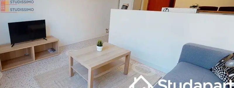 Studio meublé 66m² Lyon 8e - Lumineux, spacieux - Photo 4
