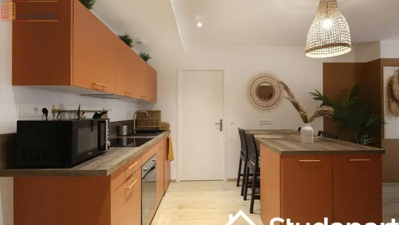 Studio 10m² Lyon 2e - Meublé, lumineux - Photo 2
