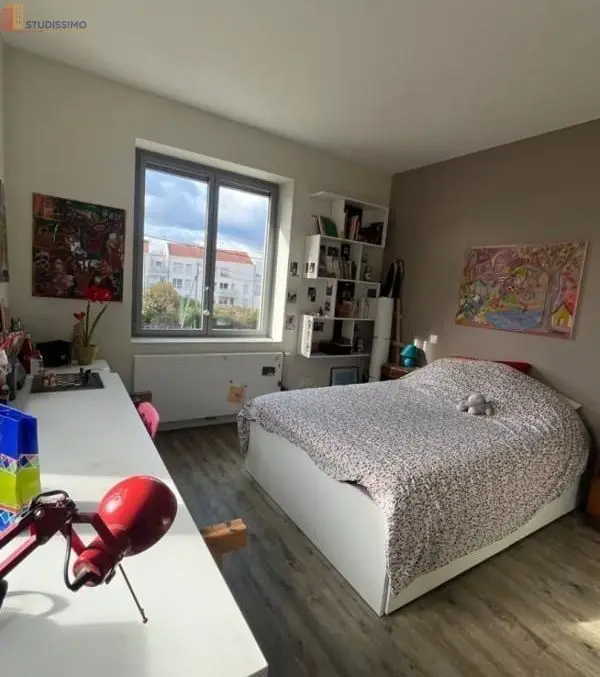 Studio meublé 20m² Neuville-sur-Saône - Meublé, DPE A - Photo 4