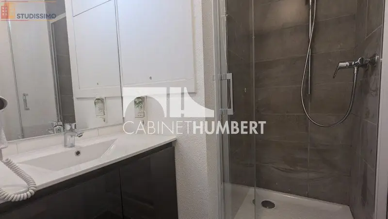 Studio 19m² Saint-Étienne - Dernier étage, lumineux - Photo 4
