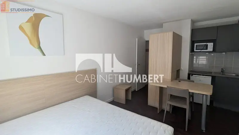 Studio 19m² Saint-Étienne - Dernier étage, lumineux - Photo 2