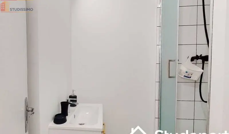 Studio 62m² Villeurbanne - Meublé, spacieux - Photo 1