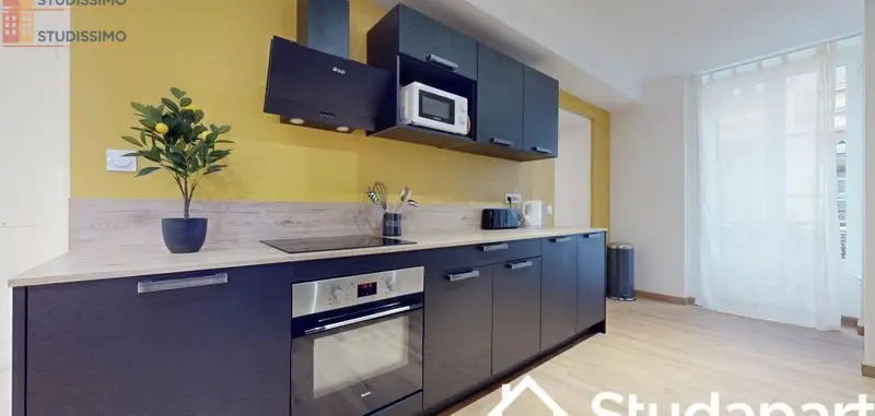 Studio meublé 12m² Lyon 2e - Meublé, DPE A - Photo 1