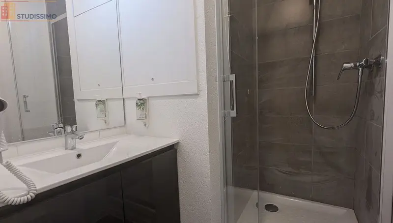 Studio 20m² Saint-Étienne 42000 - Étage élevé, DPE D - Photo 1