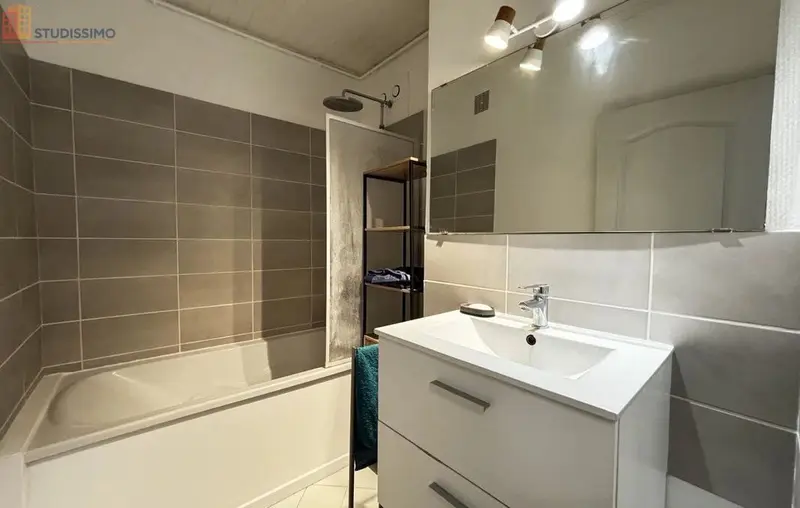 Studio 84m² Mont-Saint-Aignan - Meublé, DPE D - Photo 4