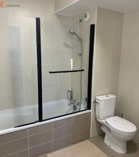 Studio meublé 33m² Lyon 8e - Dernier étage, lumineux - Photo 6