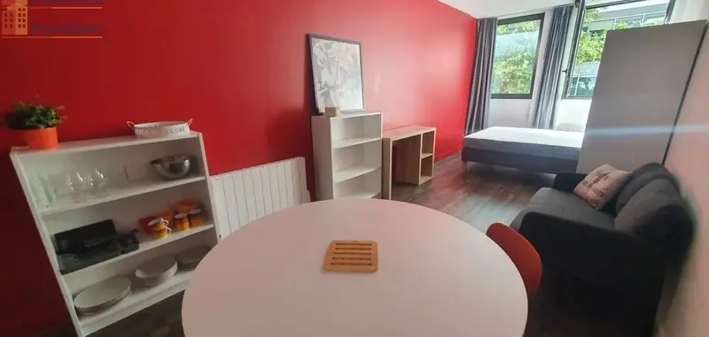 Studio 30m² Villeurbanne 69100 - Photo 3